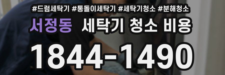 서정동 세탁기 청소 비용