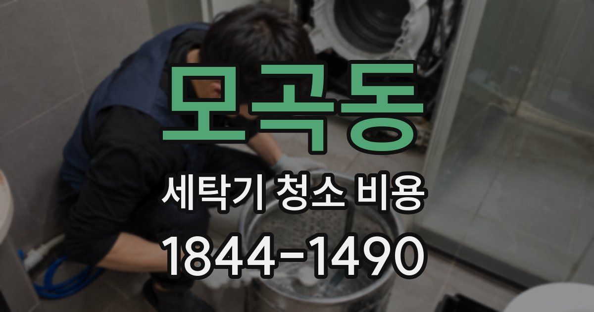 모곡동 세탁기 청소 비용