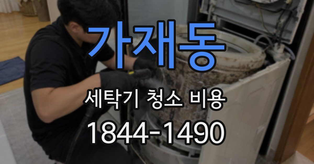 가재동 세탁기 청소 비용
