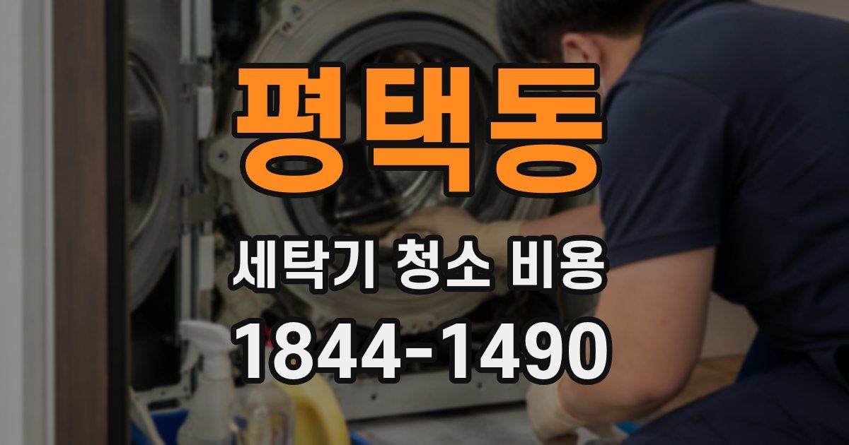 평택동 세탁기 청소 비용