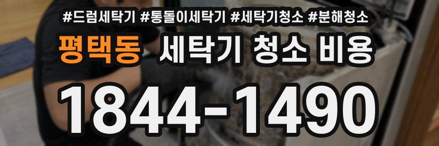 평택동 세탁기 청소 비용