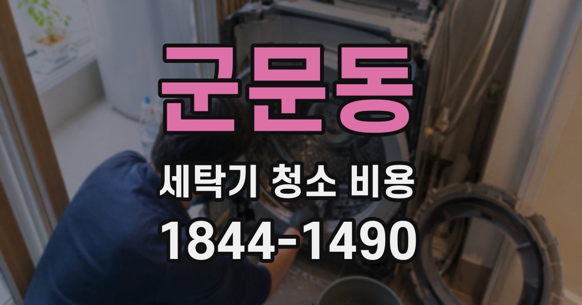 군문동 세탁기 청소 비용