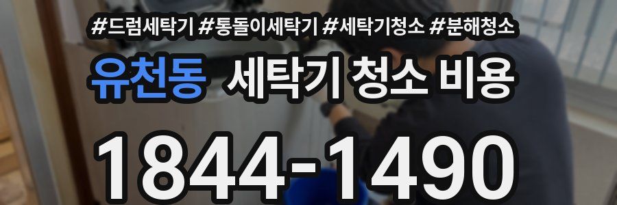 유천동 세탁기 청소 비용