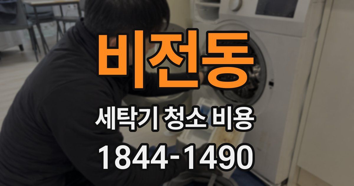 비전동 세탁기 청소 비용