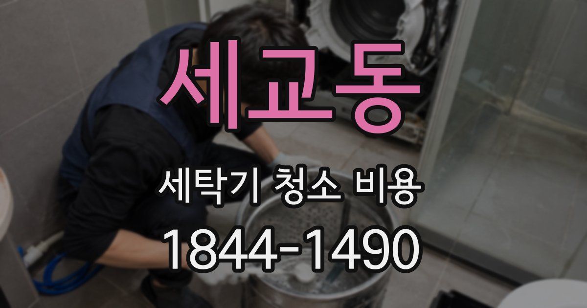 세교동 세탁기 청소 비용
