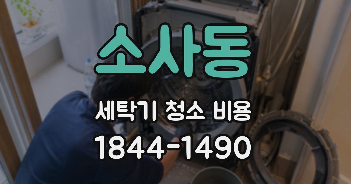 소사동 세탁기 청소 비용