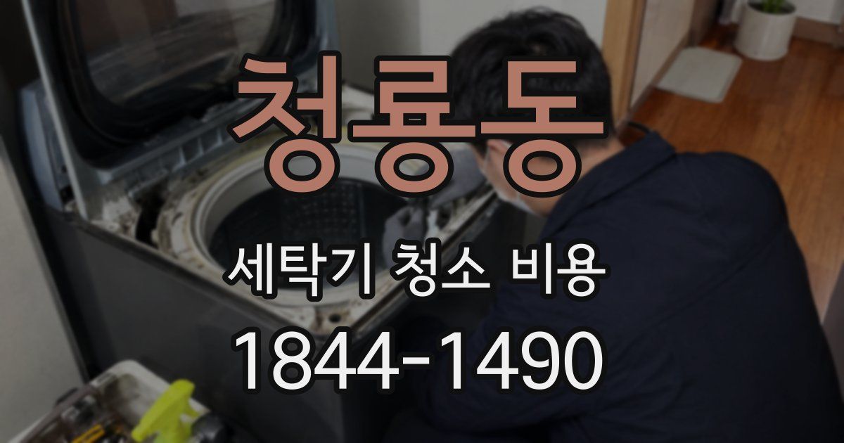 청룡동 세탁기 청소 비용