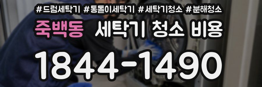 죽백동 세탁기 청소 비용