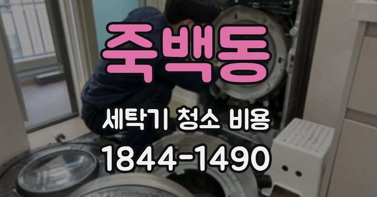 죽백동 세탁기 청소 비용