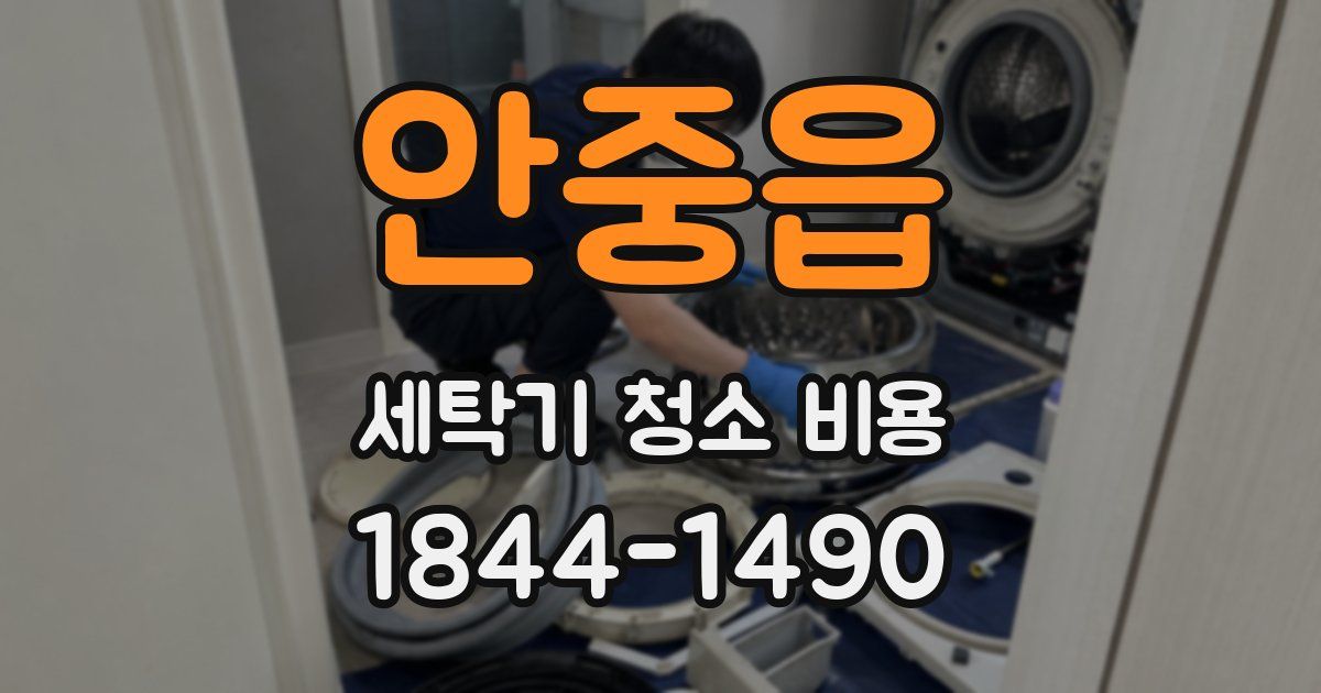 안중읍 세탁기 청소 비용