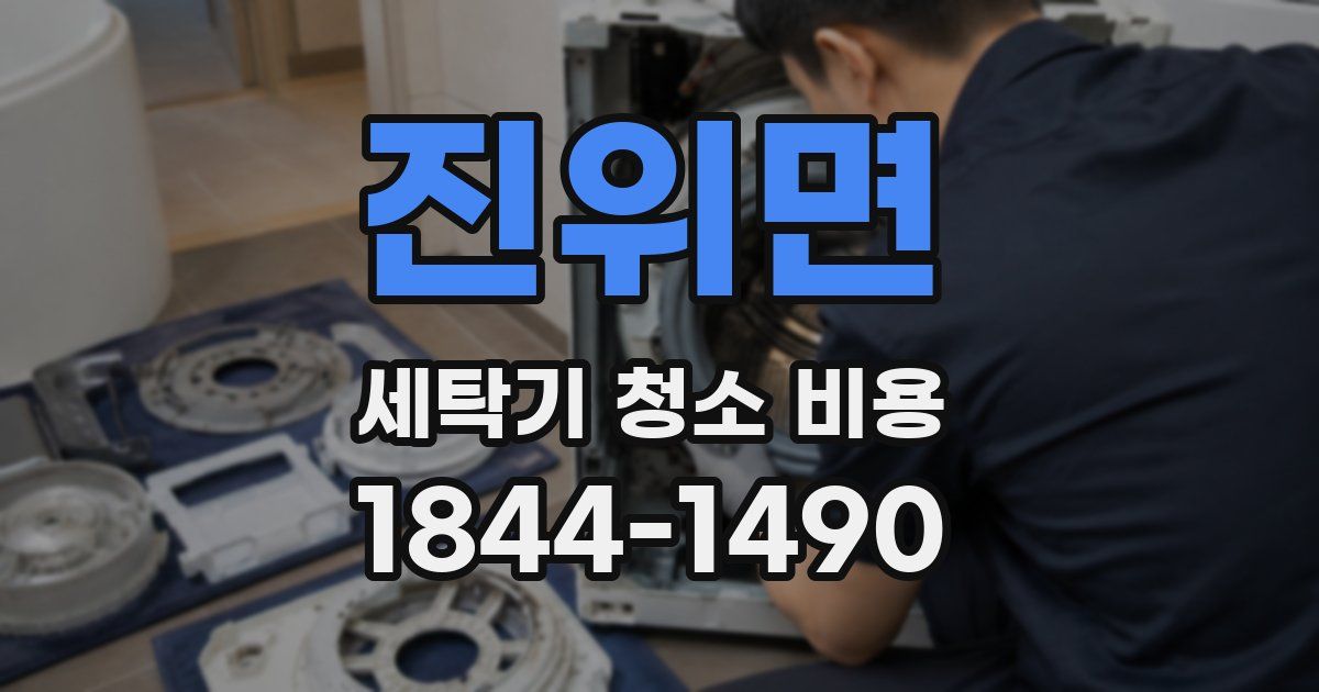 진위면 세탁기 청소 비용