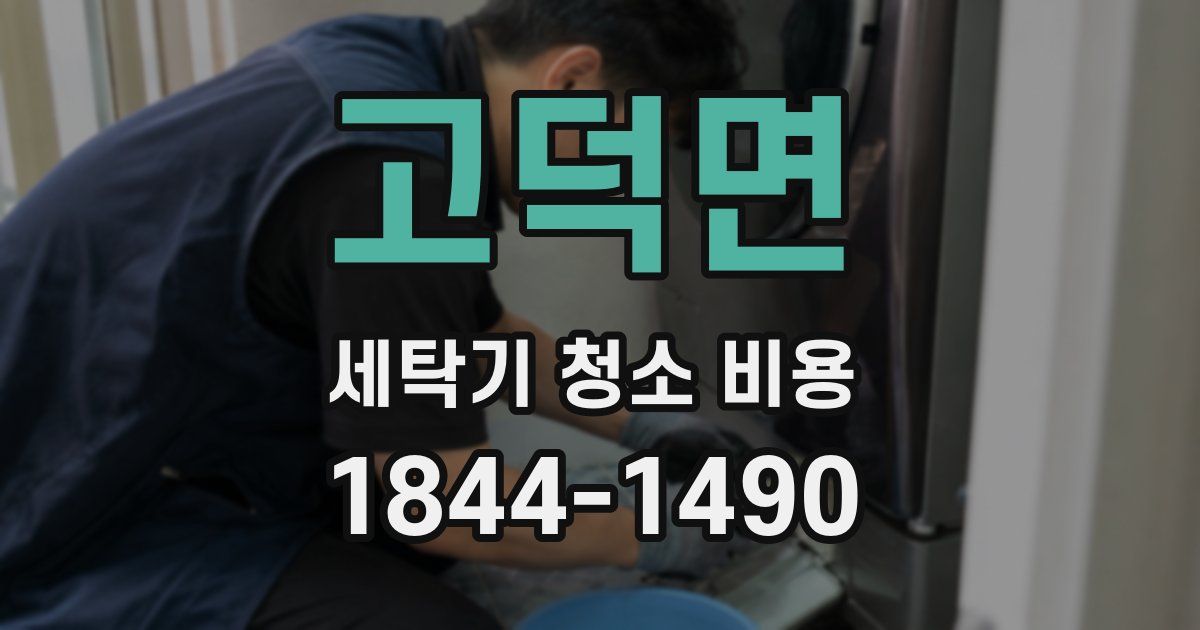 고덕면 세탁기 청소 비용