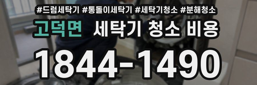 고덕면 세탁기 청소 비용