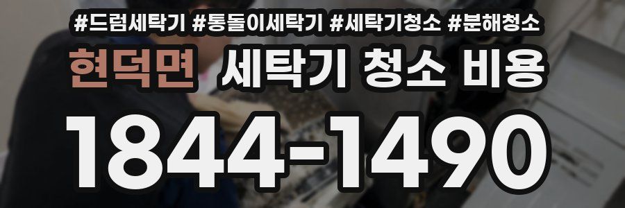 현덕면 세탁기 청소 비용