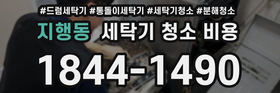 지행동 세탁기 청소 비용