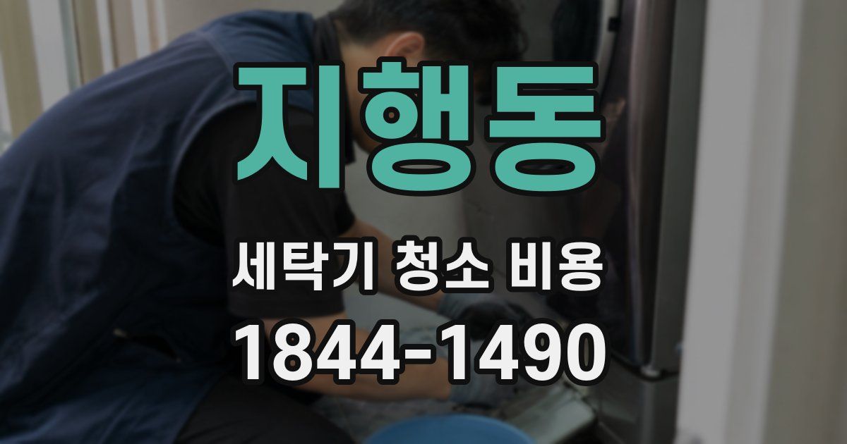 지행동 세탁기 청소 비용