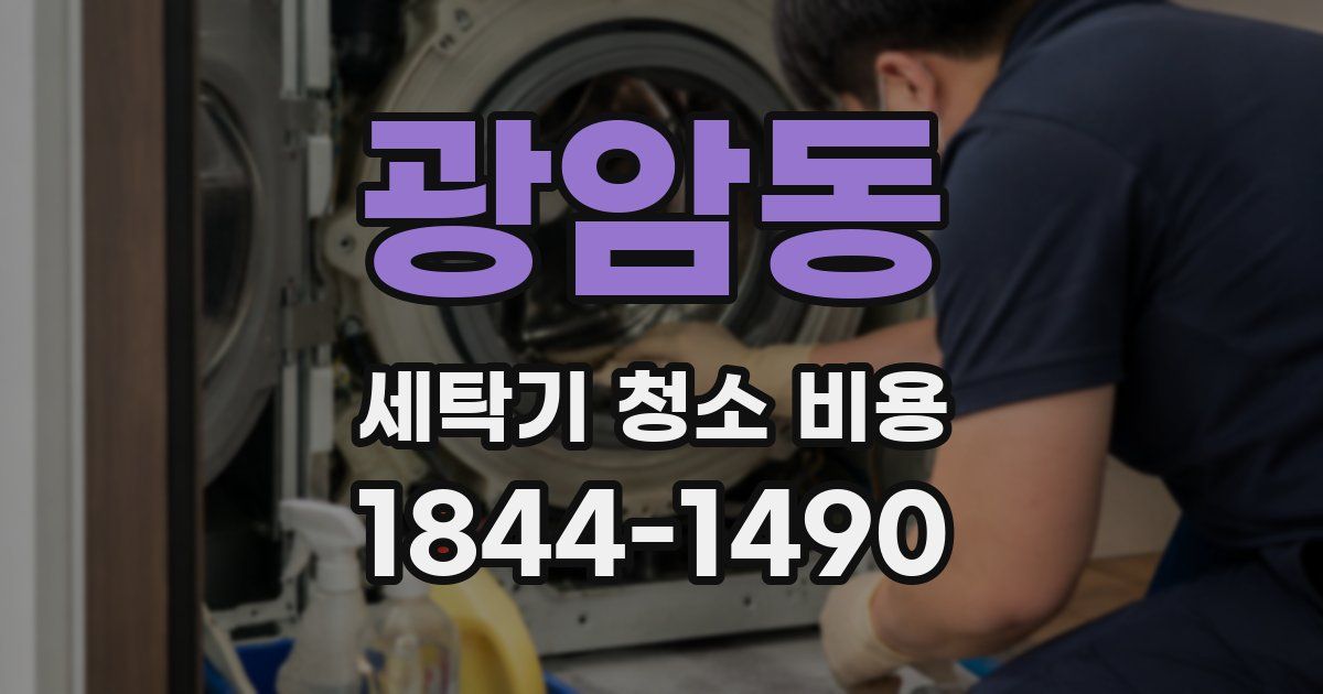 광암동 세탁기 청소 비용