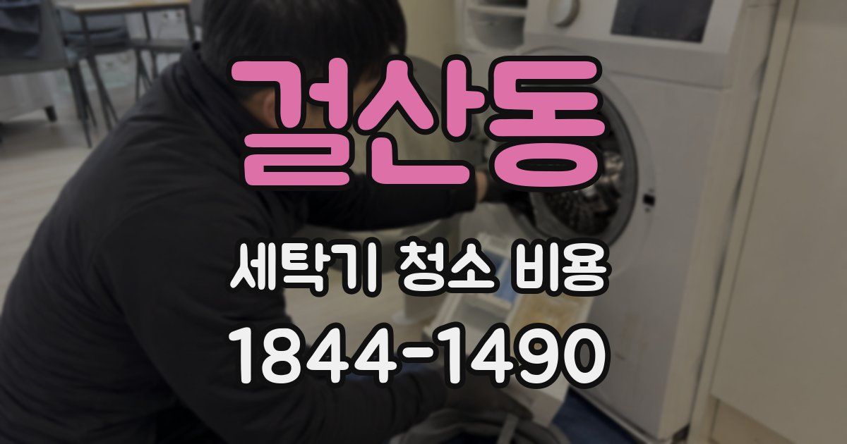 걸산동 세탁기 청소 비용