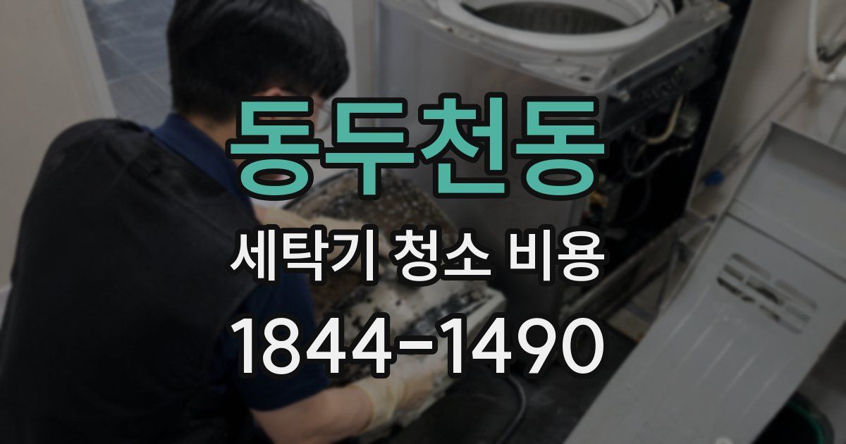 동두천동 세탁기 청소 비용