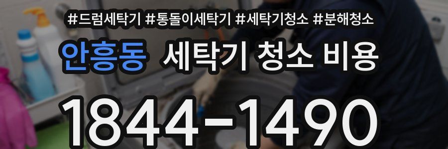 안흥동 세탁기 청소 비용