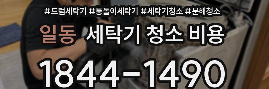 일동 세탁기 청소 비용