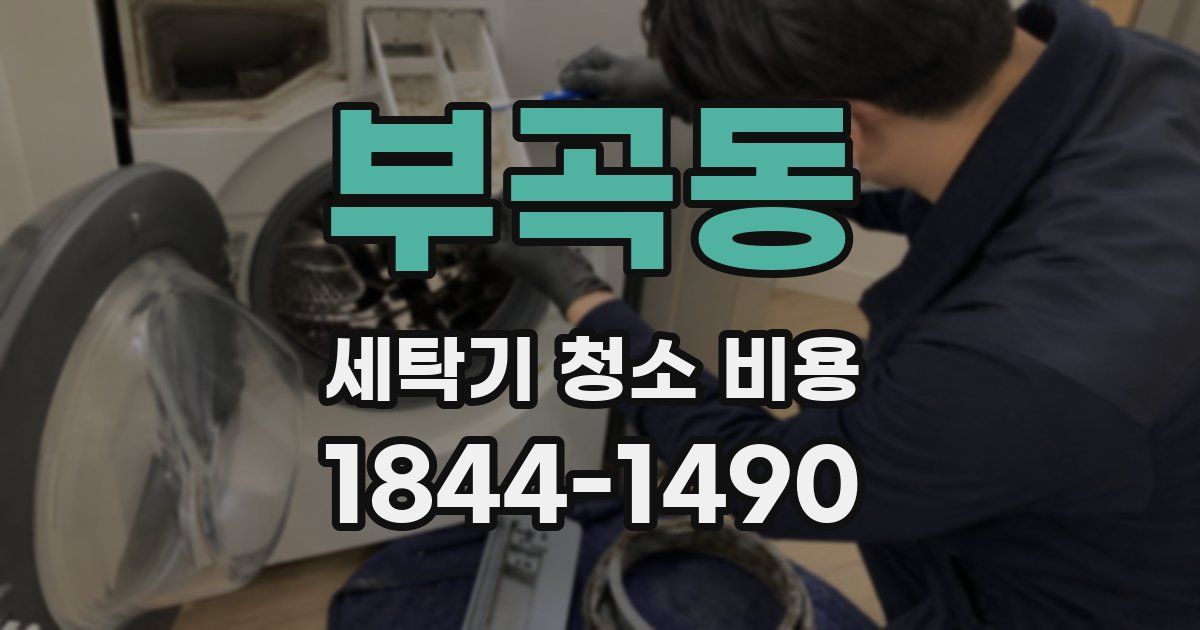 부곡동 세탁기 청소 비용