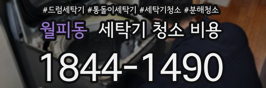 월피동 세탁기 청소 비용