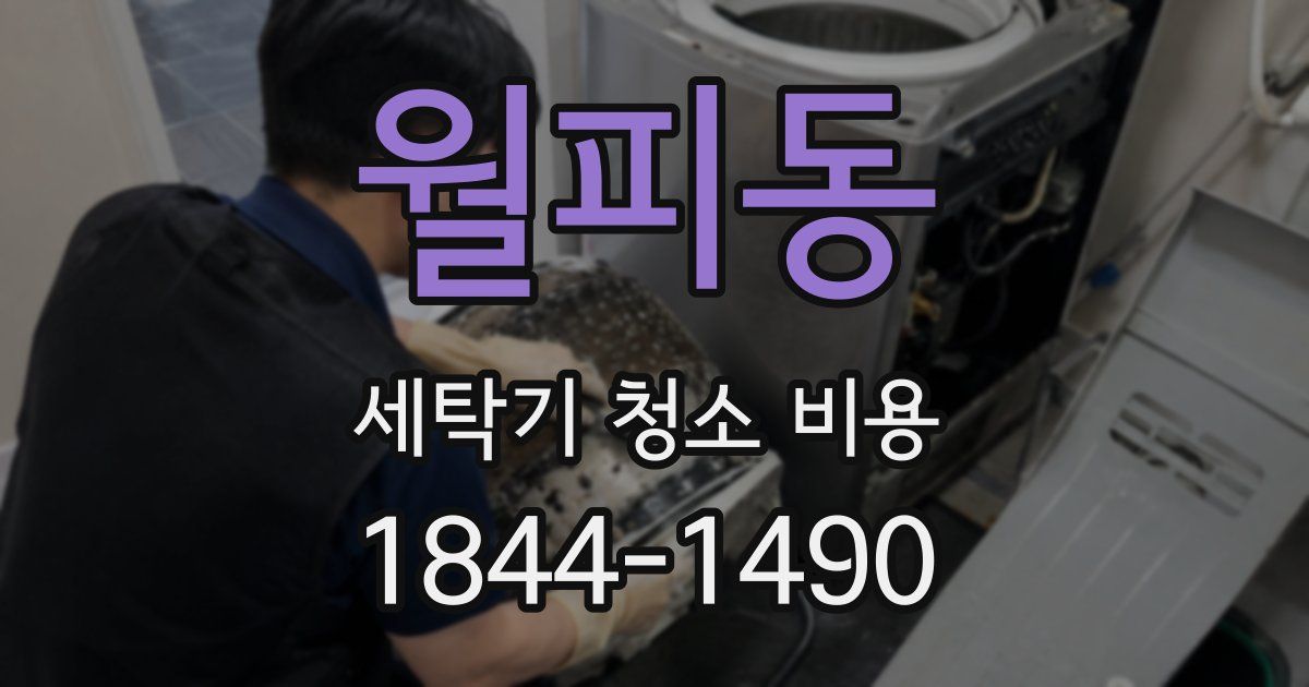 월피동 세탁기 청소 비용