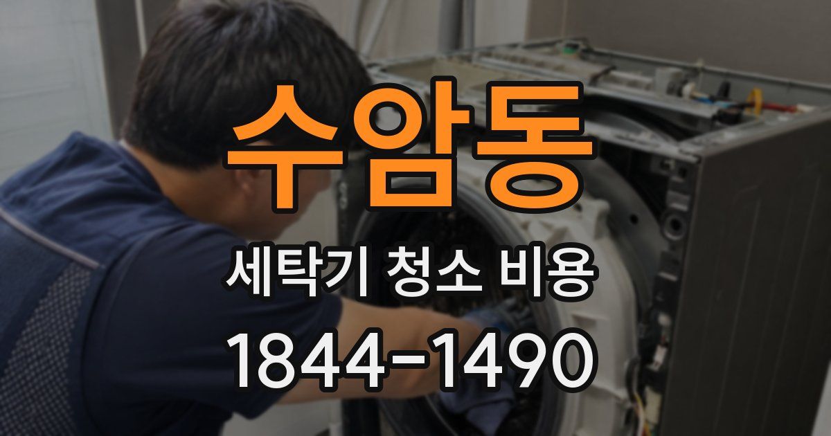 수암동 세탁기 청소 비용