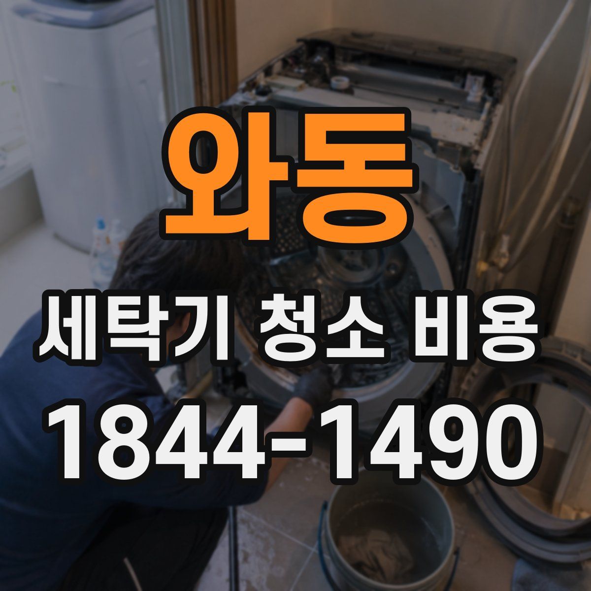 와동 세탁기 청소 비용