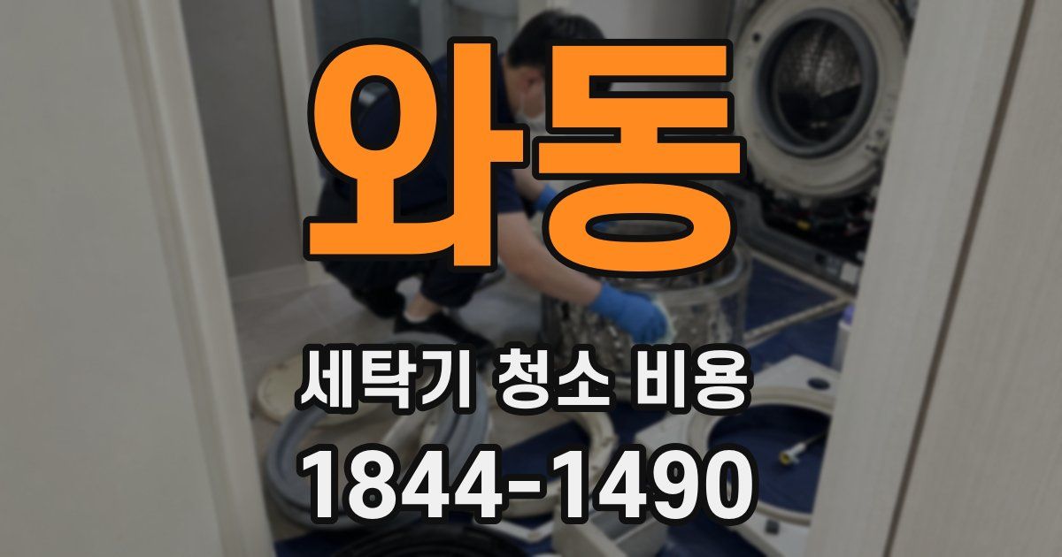 와동 세탁기 청소 비용