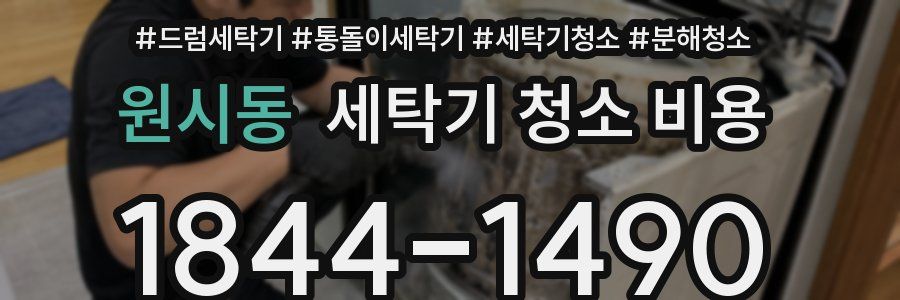 원시동 세탁기 청소 비용