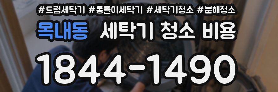 목내동 세탁기 청소 비용