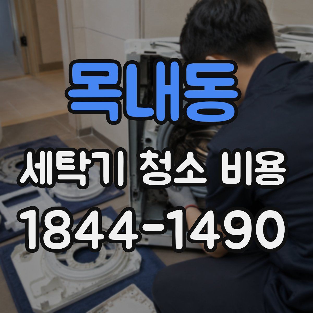 목내동 세탁기 청소 비용