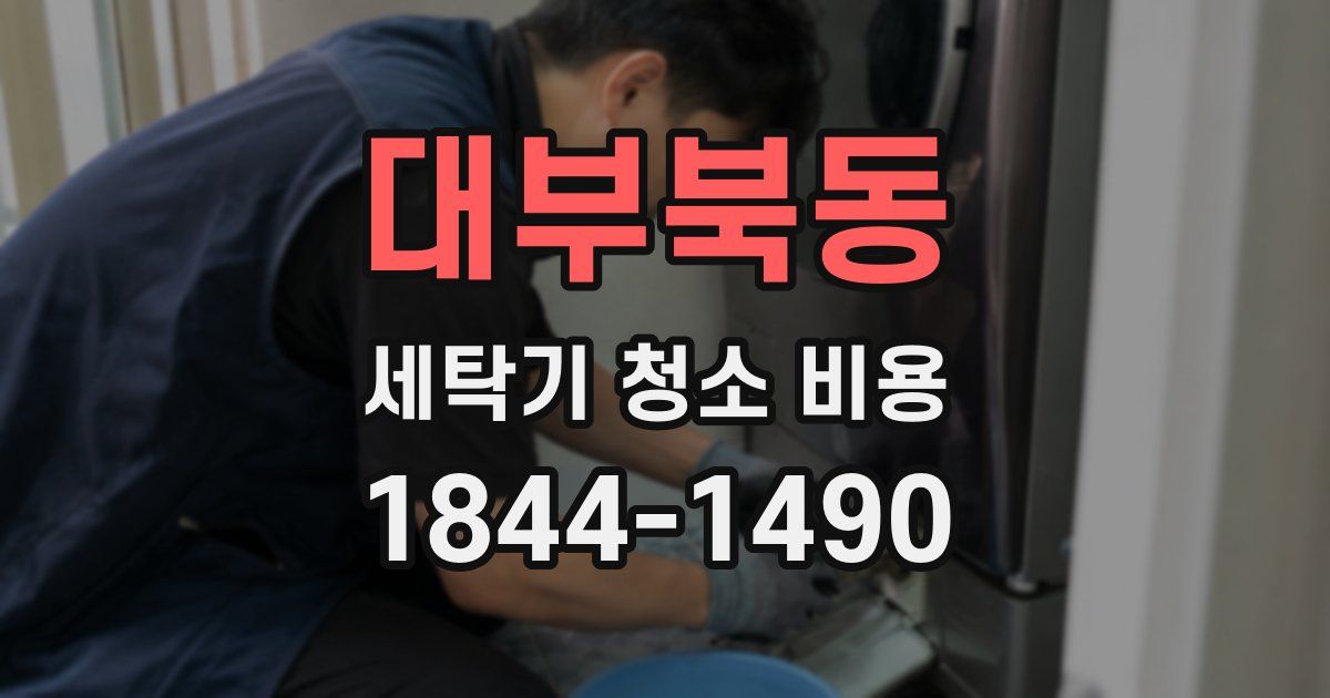 대부북동 세탁기 청소 비용