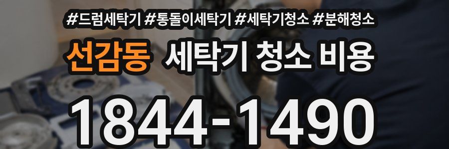선감동 세탁기 청소 비용