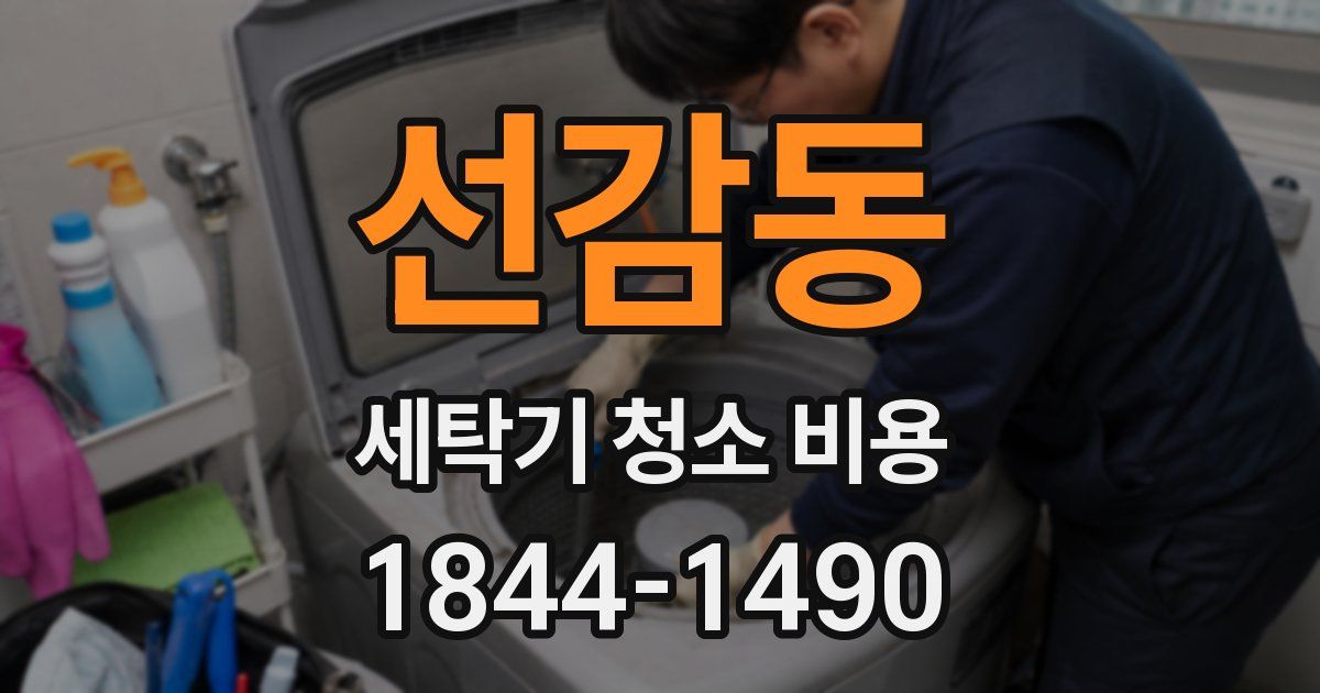 선감동 세탁기 청소 비용