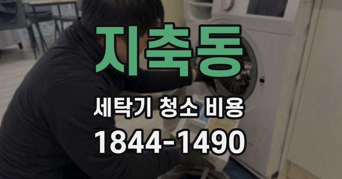 지축동 세탁기 청소 비용