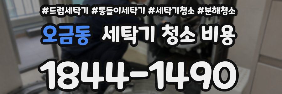 오금동 세탁기 청소 비용