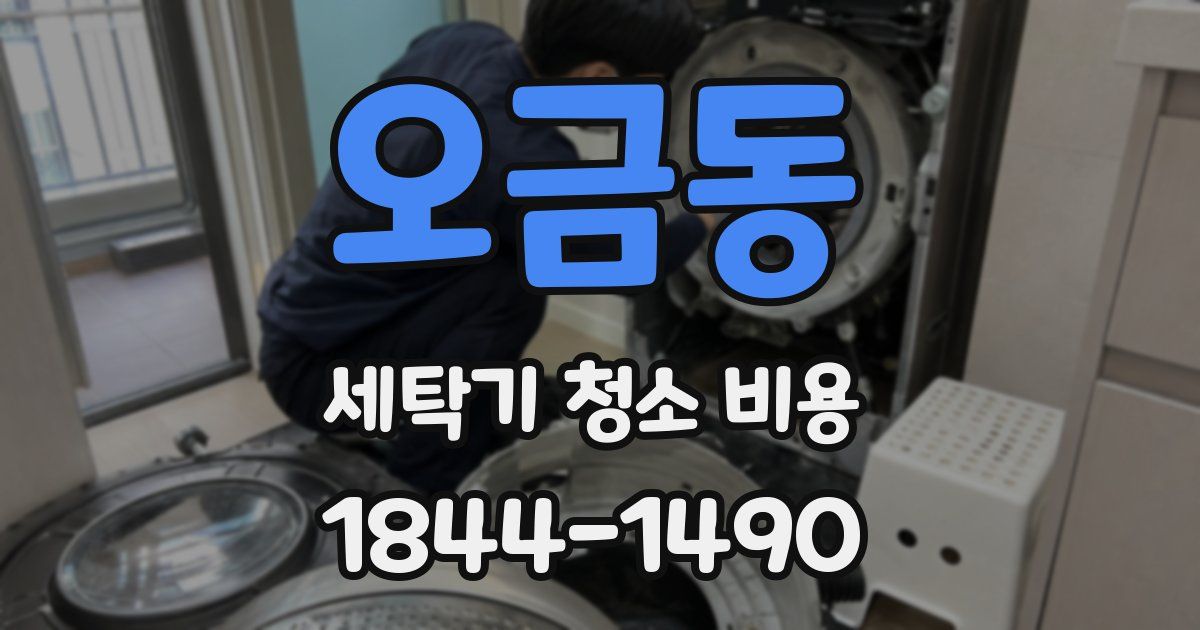 오금동 세탁기 청소 비용