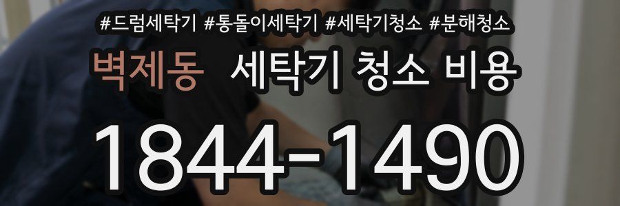 벽제동 세탁기 청소 비용