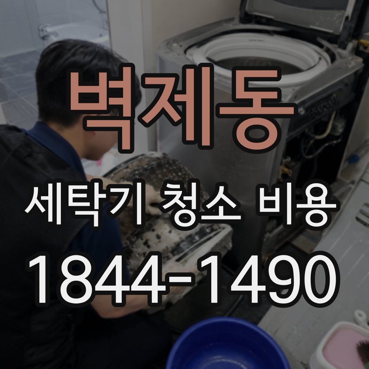벽제동 세탁기 청소 비용