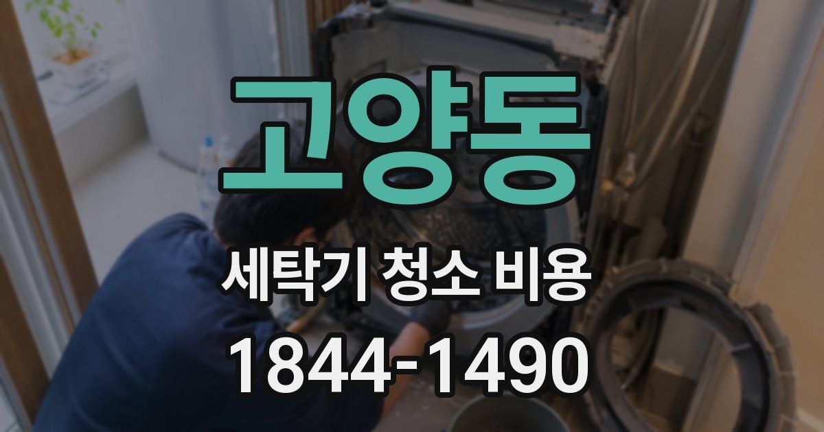 고양동 세탁기 청소 비용