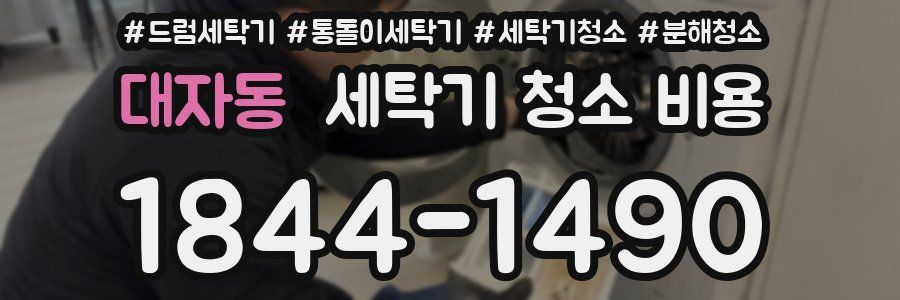 대자동 세탁기 청소 비용