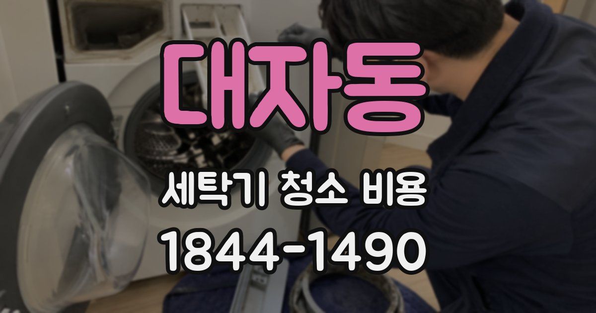 대자동 세탁기 청소 비용
