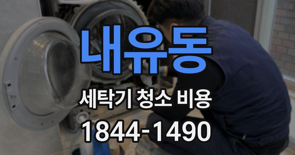 내유동 세탁기 청소 비용