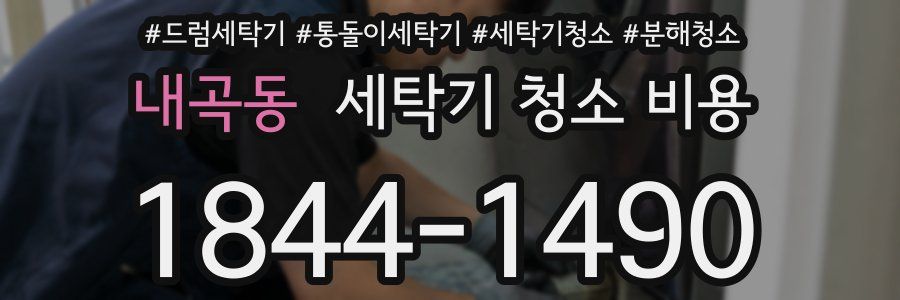 내곡동 세탁기 청소 비용