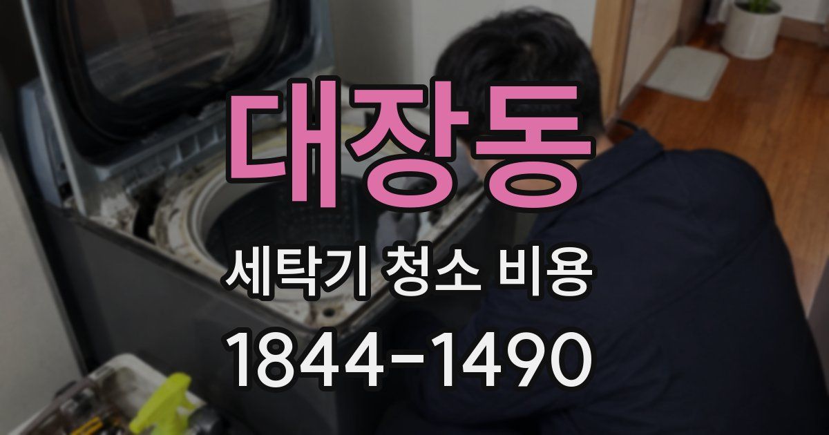 대장동 세탁기 청소 비용