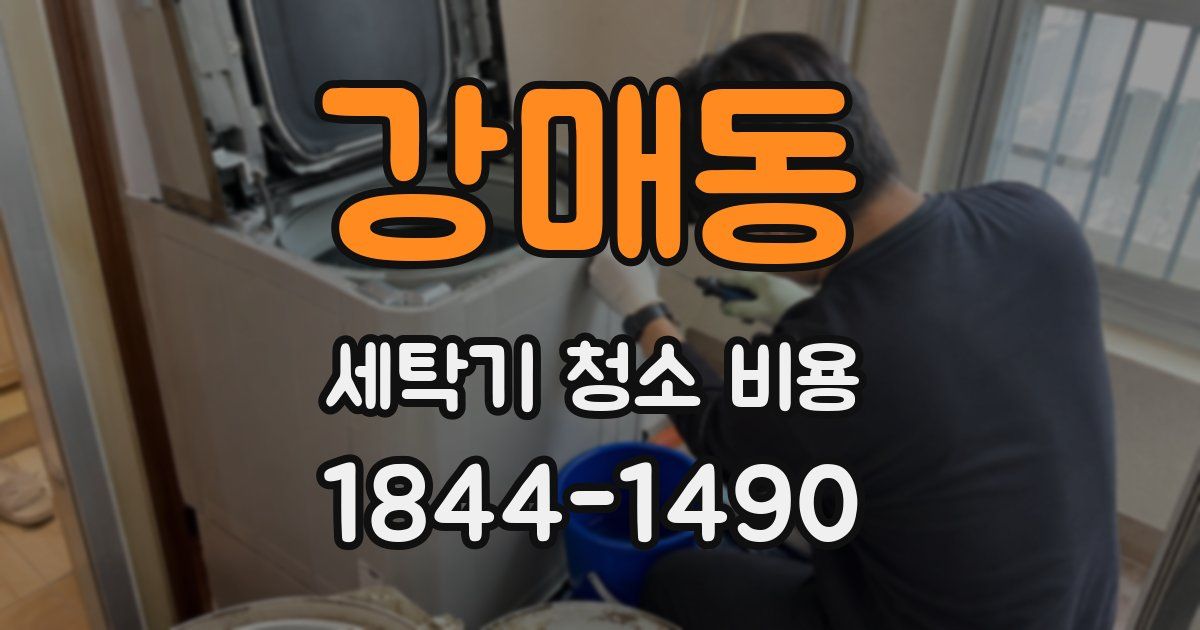 강매동 세탁기 청소 비용
