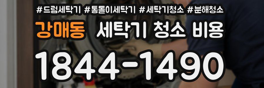 강매동 세탁기 청소 비용